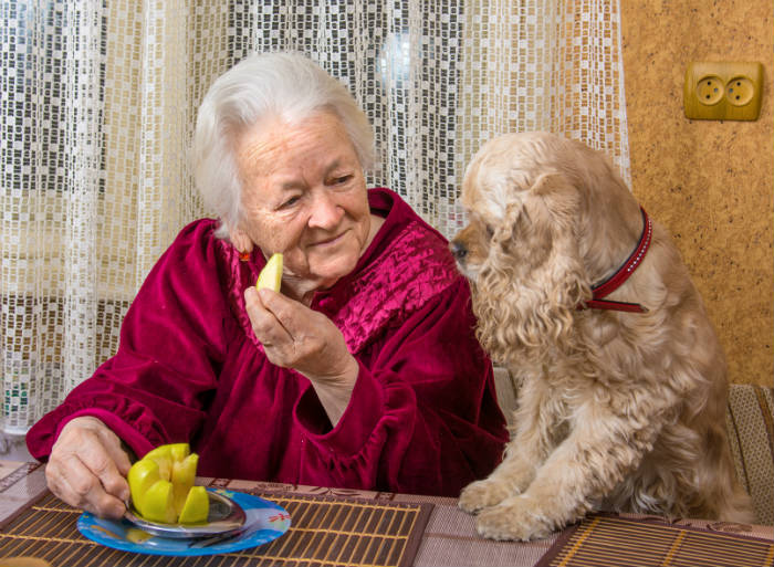 An old lady and a dog  