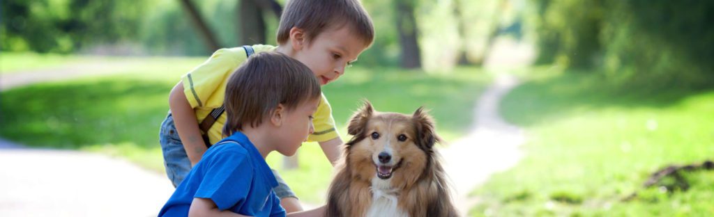Two boys petting a brown dog
