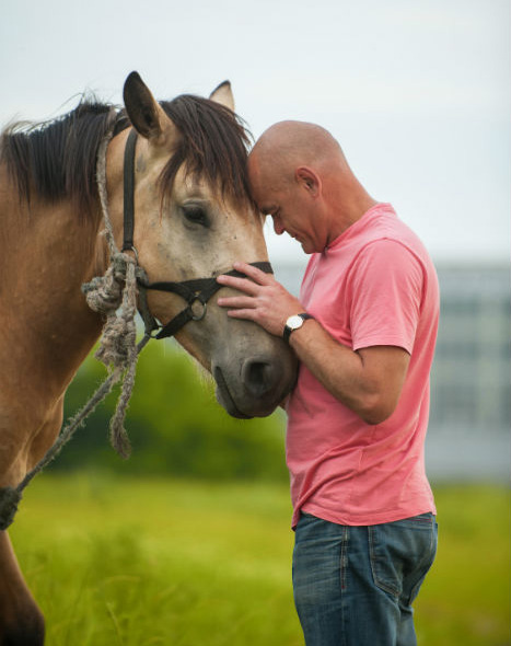 A bald man and a horse